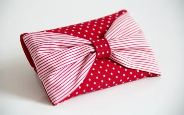 Schnittmuster Handytasche mit Schleife Nähvideo selber nähen