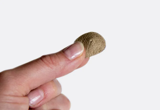 Nähanleitung mit kostenlosem Schnittmuster Nadelmaus Ohren nähen