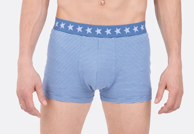 Schnittmuster Boxershorts für Herren mit Videoanleitung nähen lernen