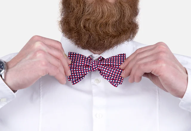 Anleitung Fliege binden