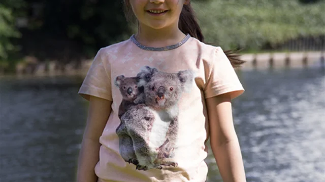 Kindershirt Koala nähen