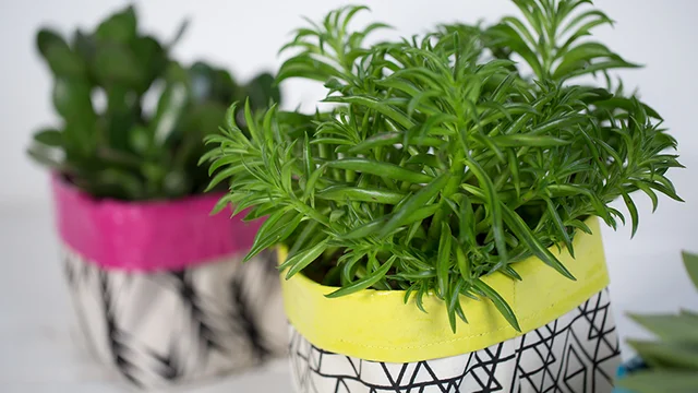 utensilo_diy_tutorial_urban_jungle