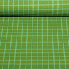 Bio Sommersweat "Beetles & Bugs" Grids Moosgrün