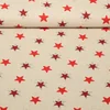 Canvas Sterne Beige Rot