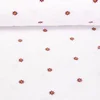 Teddyfleece  Blumen Weiß