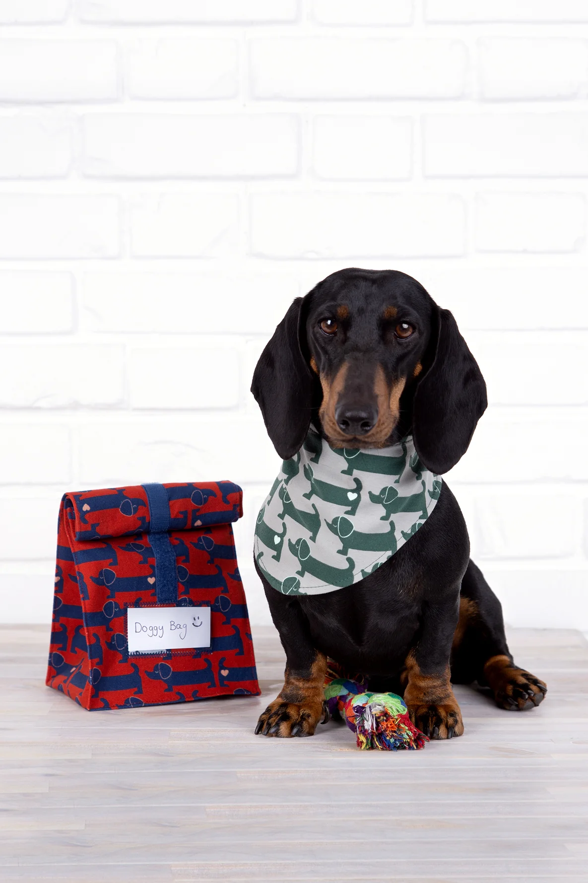 Lunchbag Freebie selber nähen Dackelparade