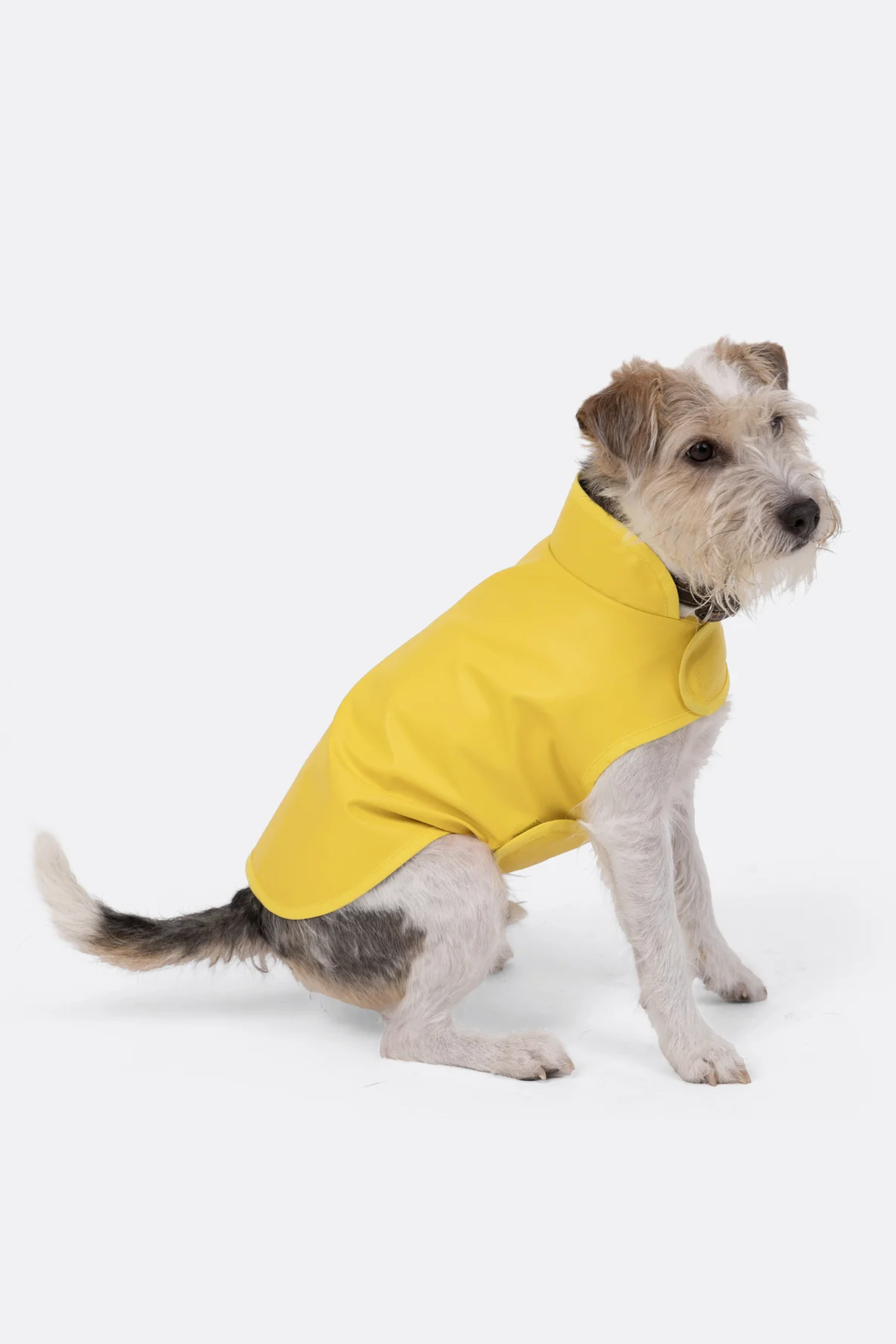 Hundemantel für Regenwetter wasserabweisen selber nähen Schnittmuster