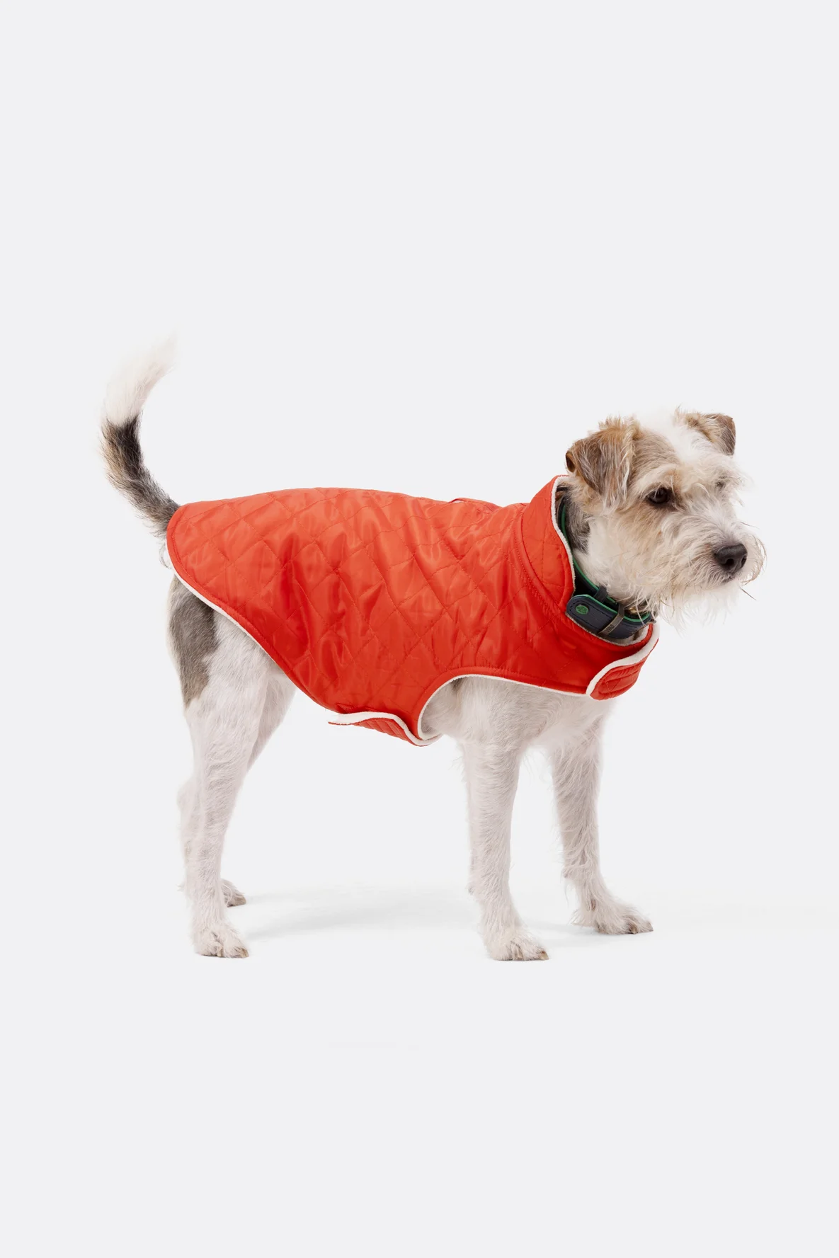 Schnittmuster Hundemantel Klettverschluss Steppstoff DIY