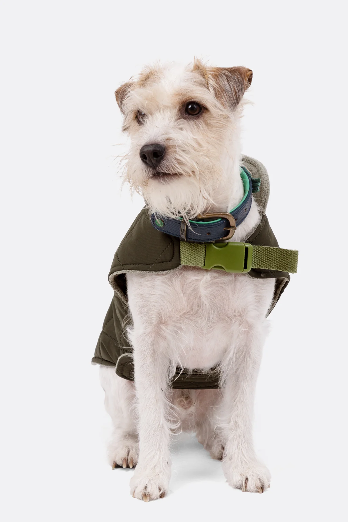 Schnittmuster Hundemantel Verschluss Steckschnalle