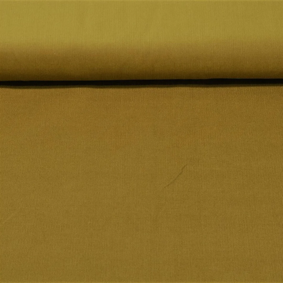 Babycord "Clara" Curry