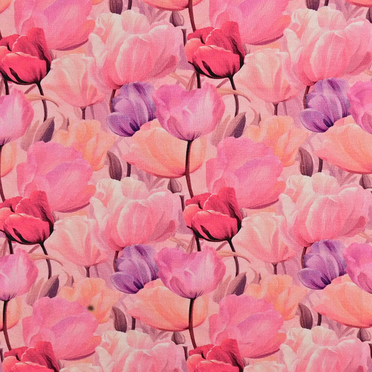 Bambus Viskosejersey  Digitaldruck Tulpen Rosa