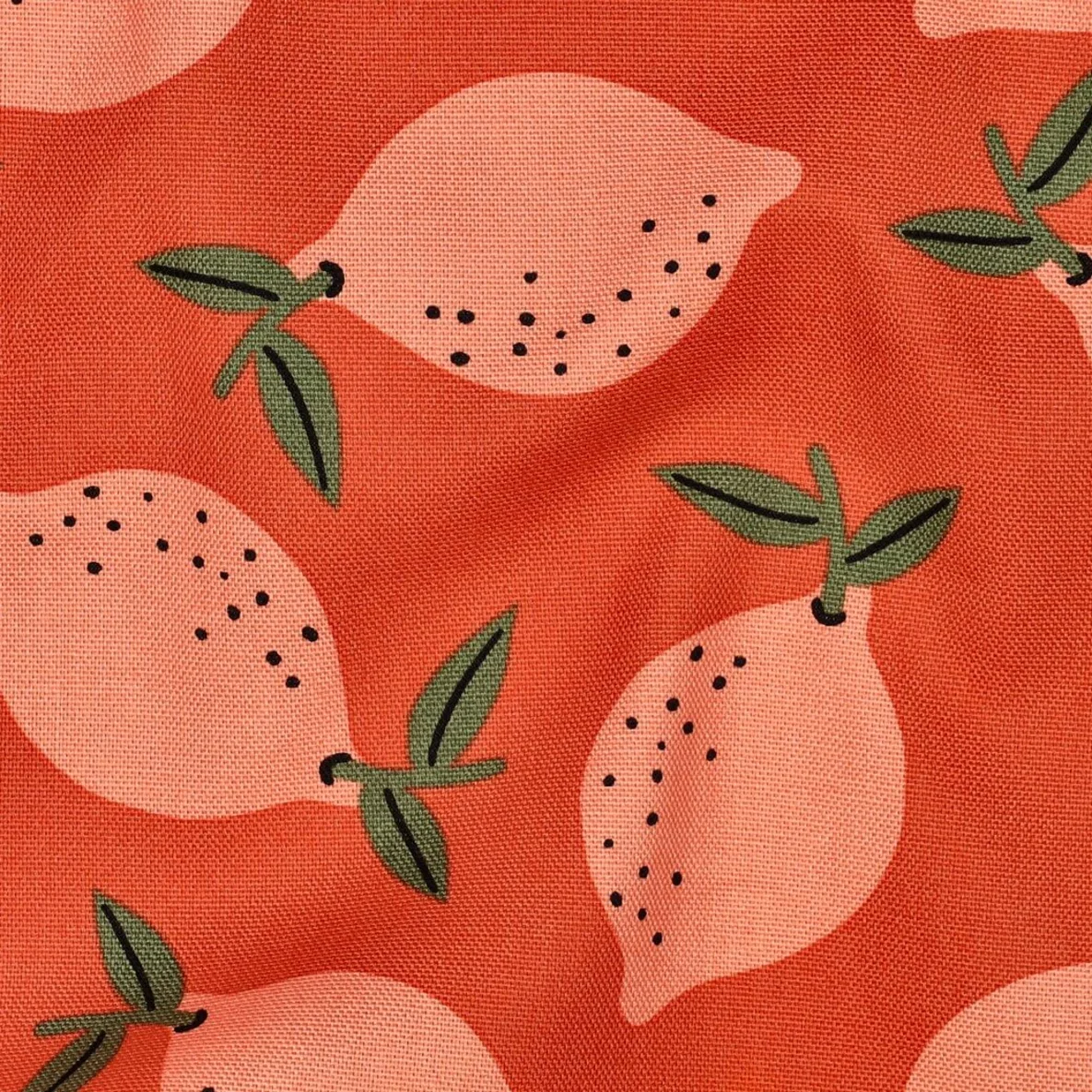 Baumwoll-Canvas Zitronen Orange
