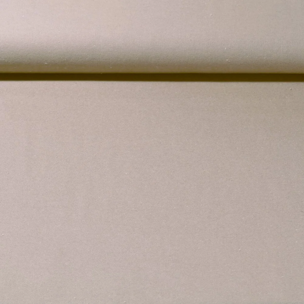 Baumwoll Flanell "Ivy" Uni Beige