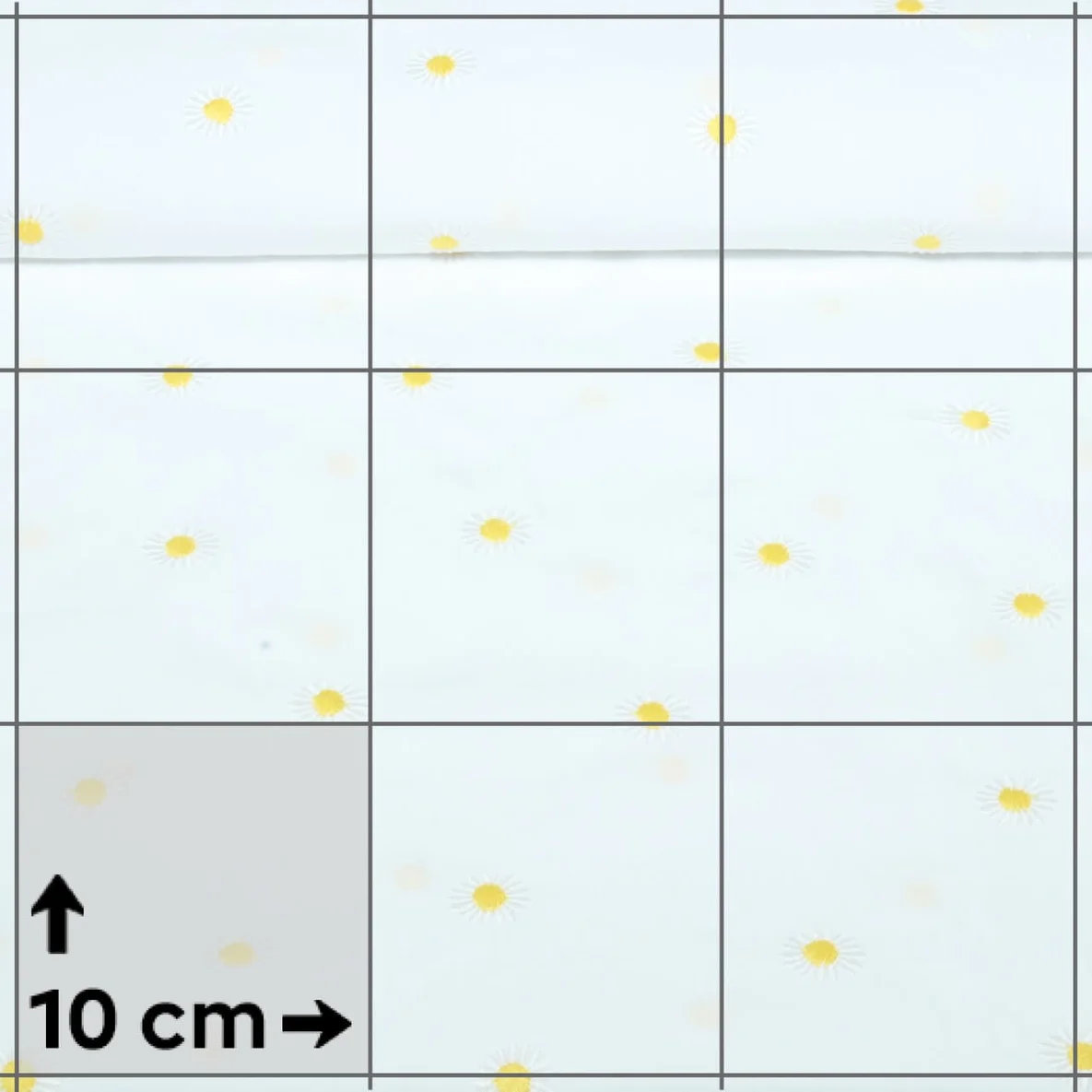 Baumwoll-Popeline Bestickt Margeriten Ecru