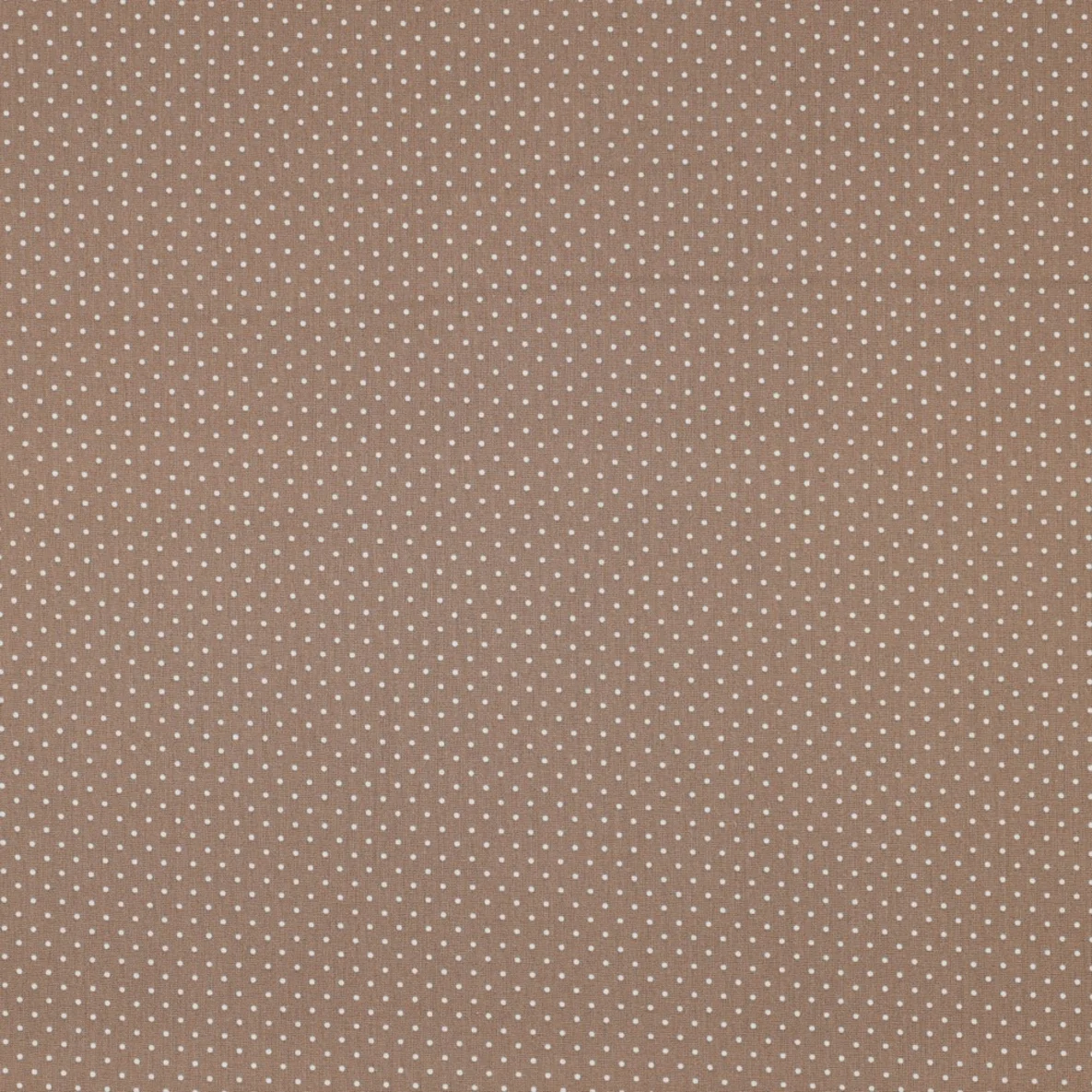 Baumwolle Popeline Minipunkte Taupe Weiß