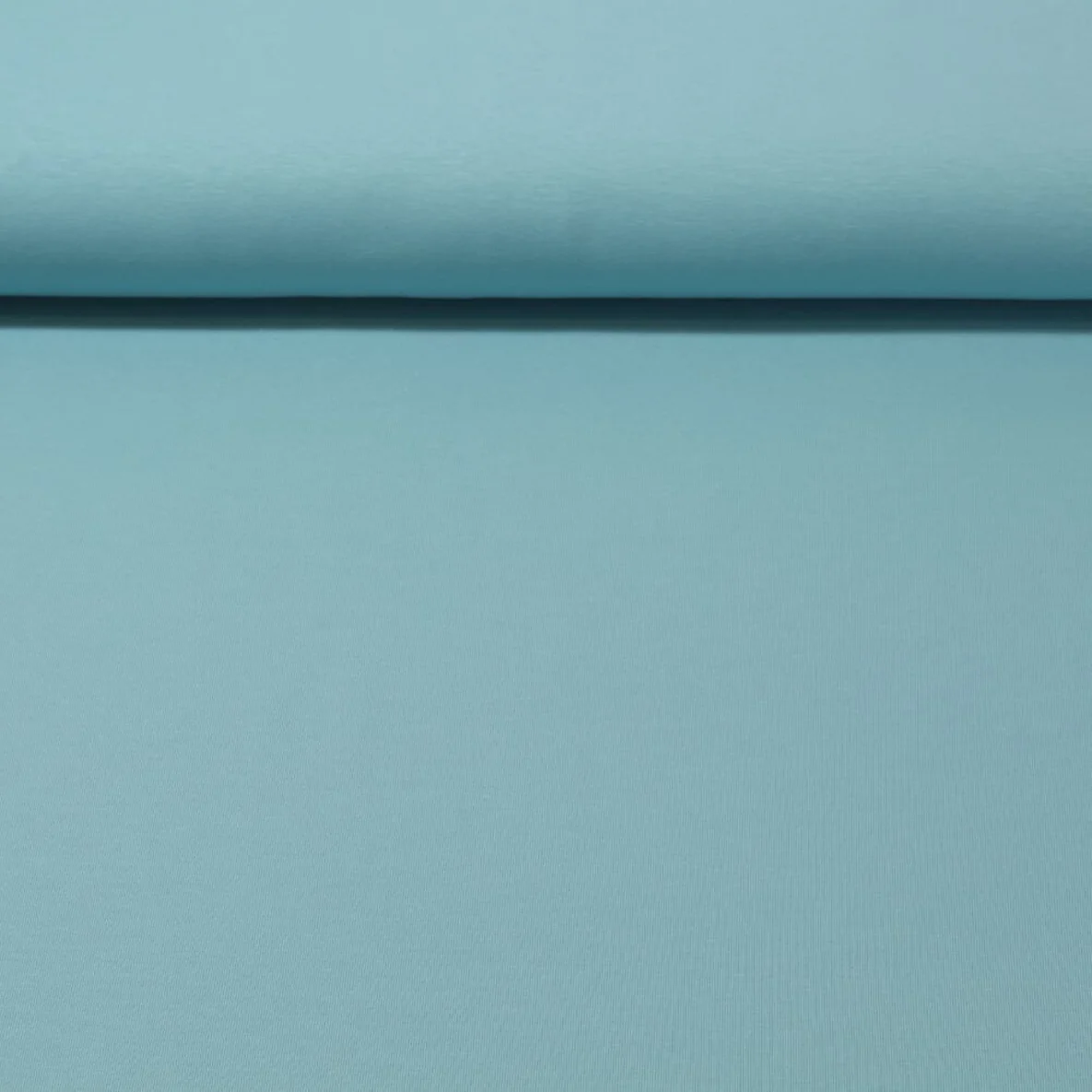 Baumwolljersey Swafing "Vanessa" Uni Mint 263