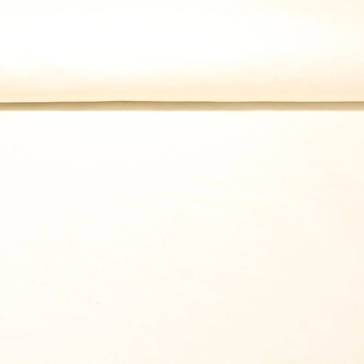 Beschichtete Baumwolle Laura Uni Ecru