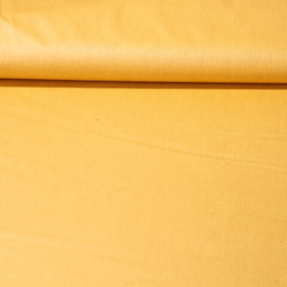 Beschichtete Baumwolle Laura Uni Gelb 