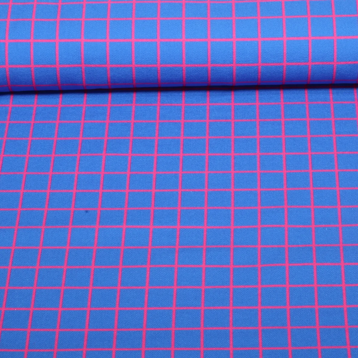 Bio Canvas "Beetles & Bugs" Grids Blau