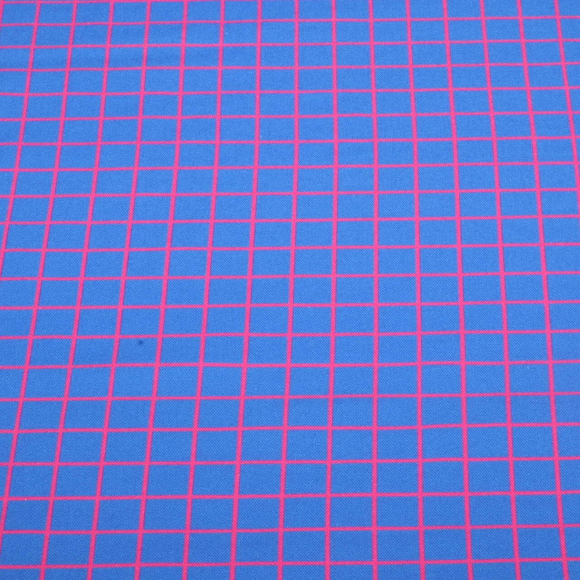Bio Canvas "Beetles & Bugs" Grids Blau