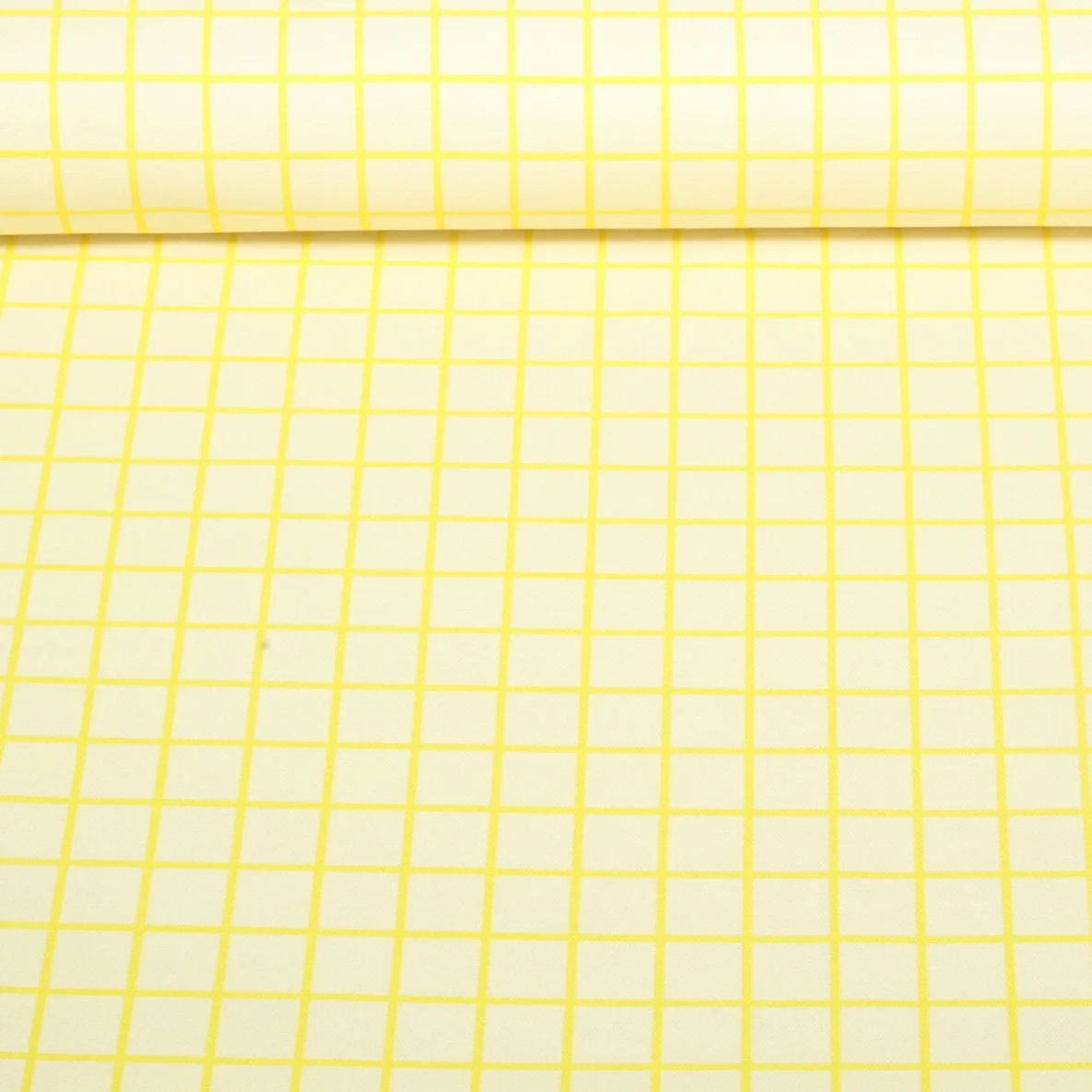 Bio Canvas "Beetles & Bugs" Grids Grün