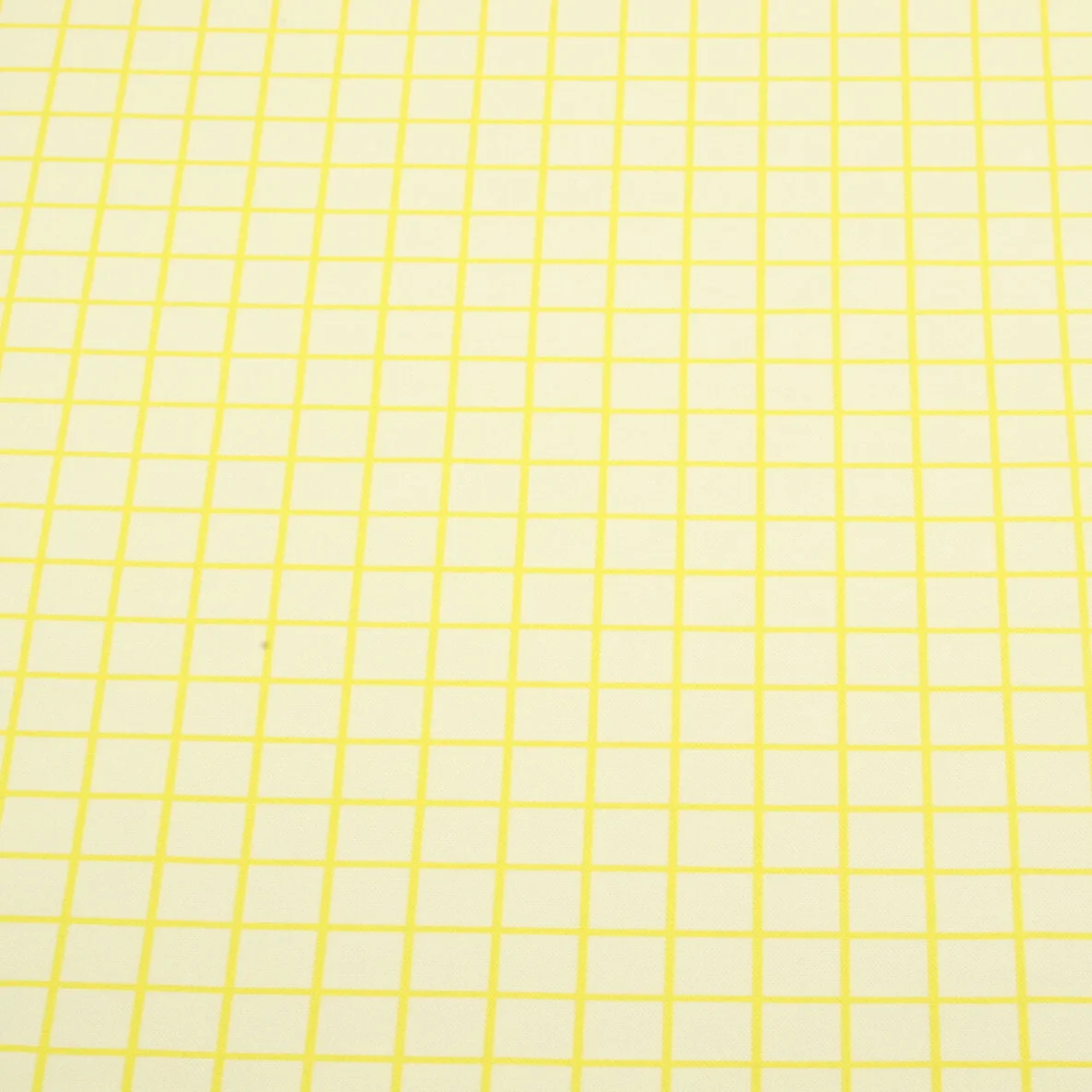 Bio Canvas "Beetles & Bugs" Grids Grün