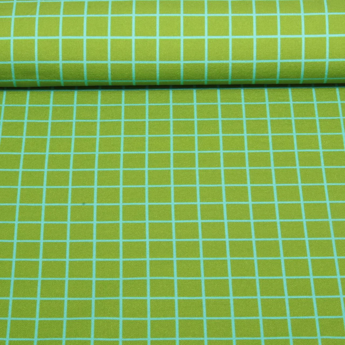 Bio Canvas "Beetles & Bugs" Grids Moosgrün