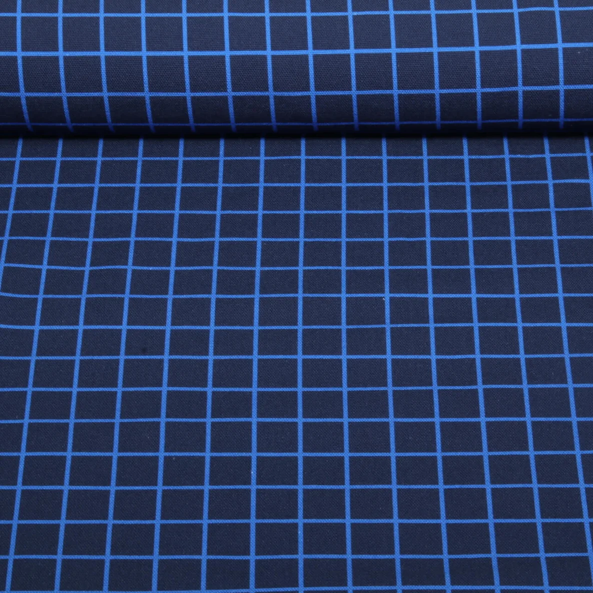 Bio Canvas "Beetles & Bugs" Grids Navy