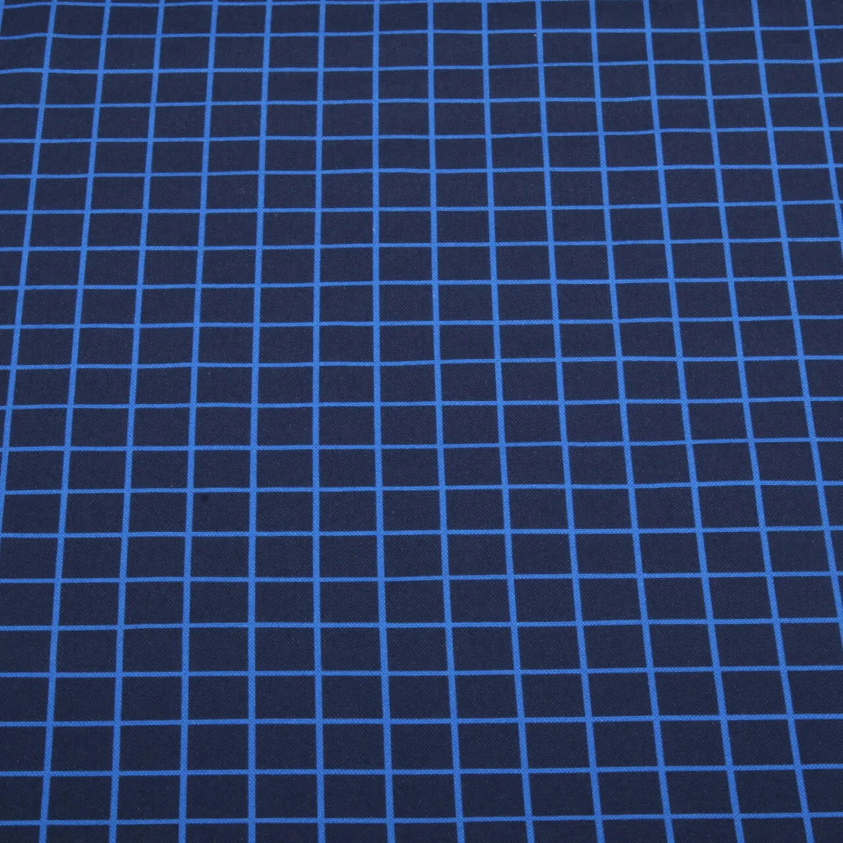 Bio Canvas "Beetles & Bugs" Grids Navy