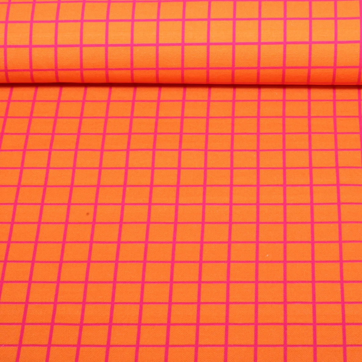 Bio Canvas "Beetles & Bugs" Grids Orange