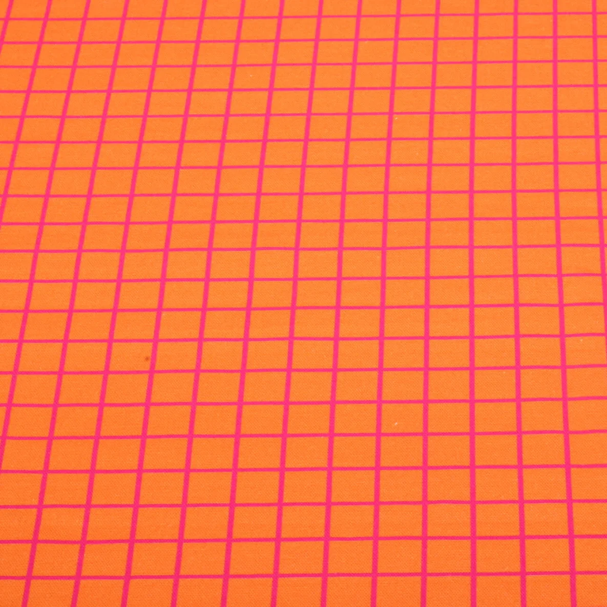 Bio Canvas "Beetles & Bugs" Grids Orange