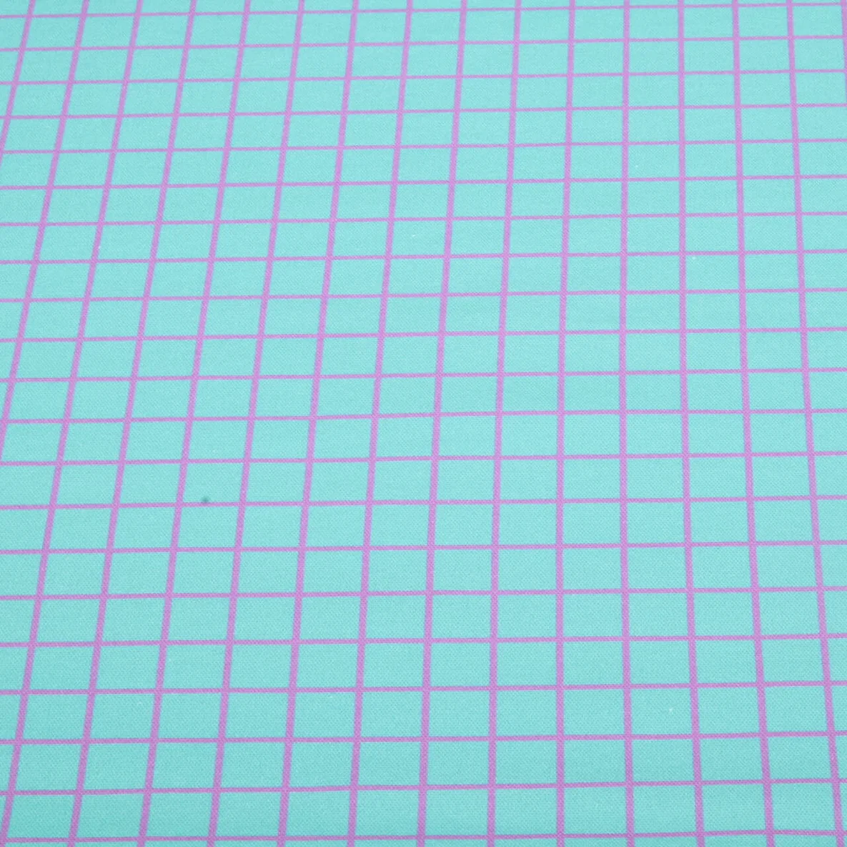 Bio Canvas "Beetles & Bugs" Grids Türkis