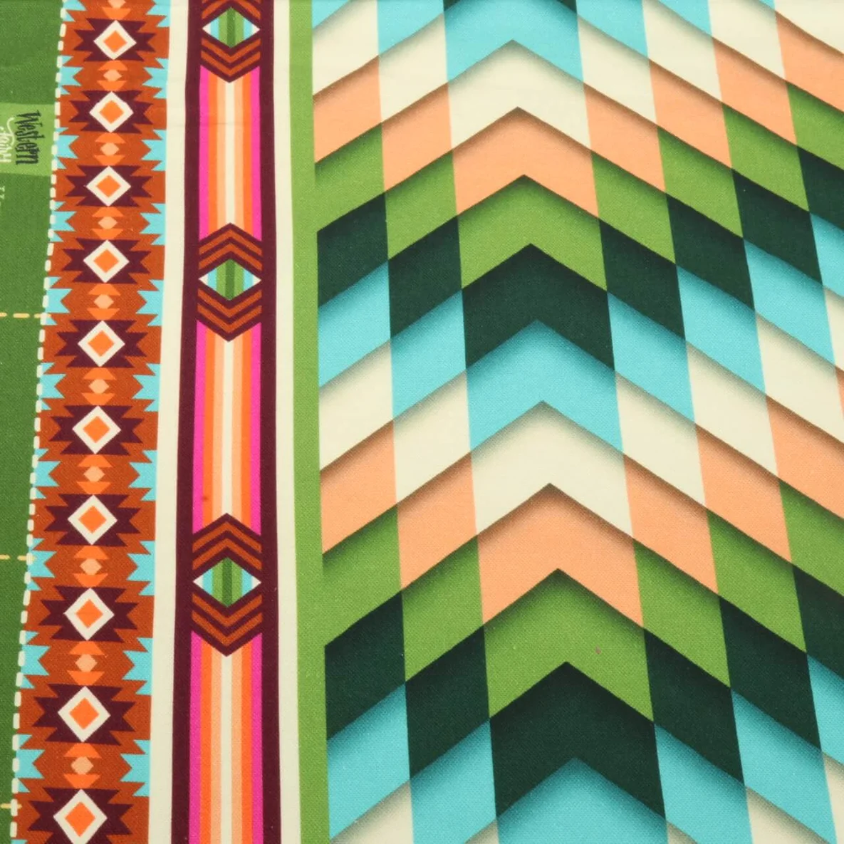 Bio Canvas "Western Fairy Tales Homecoming" Grün