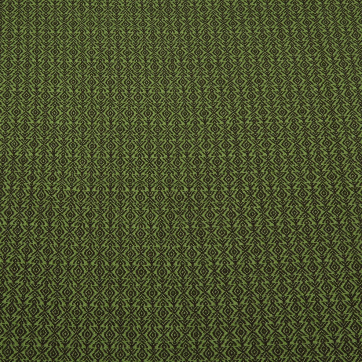 Bio Jacquard Jersey "Western Fairy Tales" Field Knit Grün