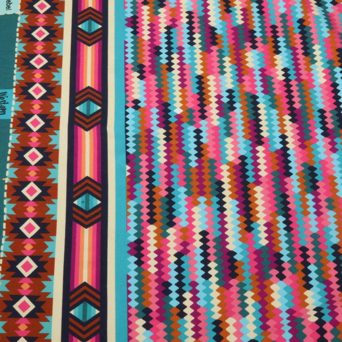 Bio Jersey "Western Fairy Tales" Tracks Petrol