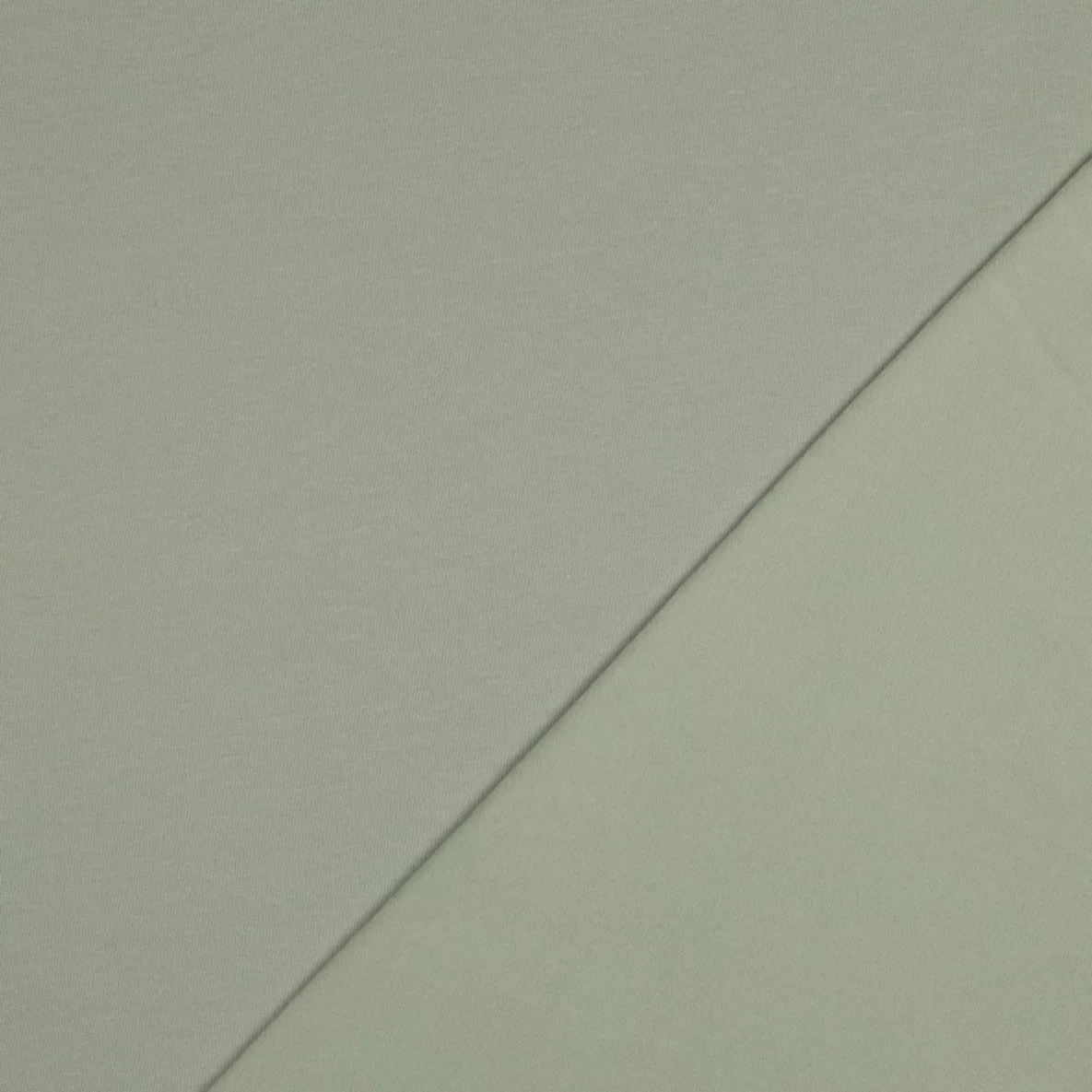 Bio Softsweat "Erin" Uni Salbeigrün 058