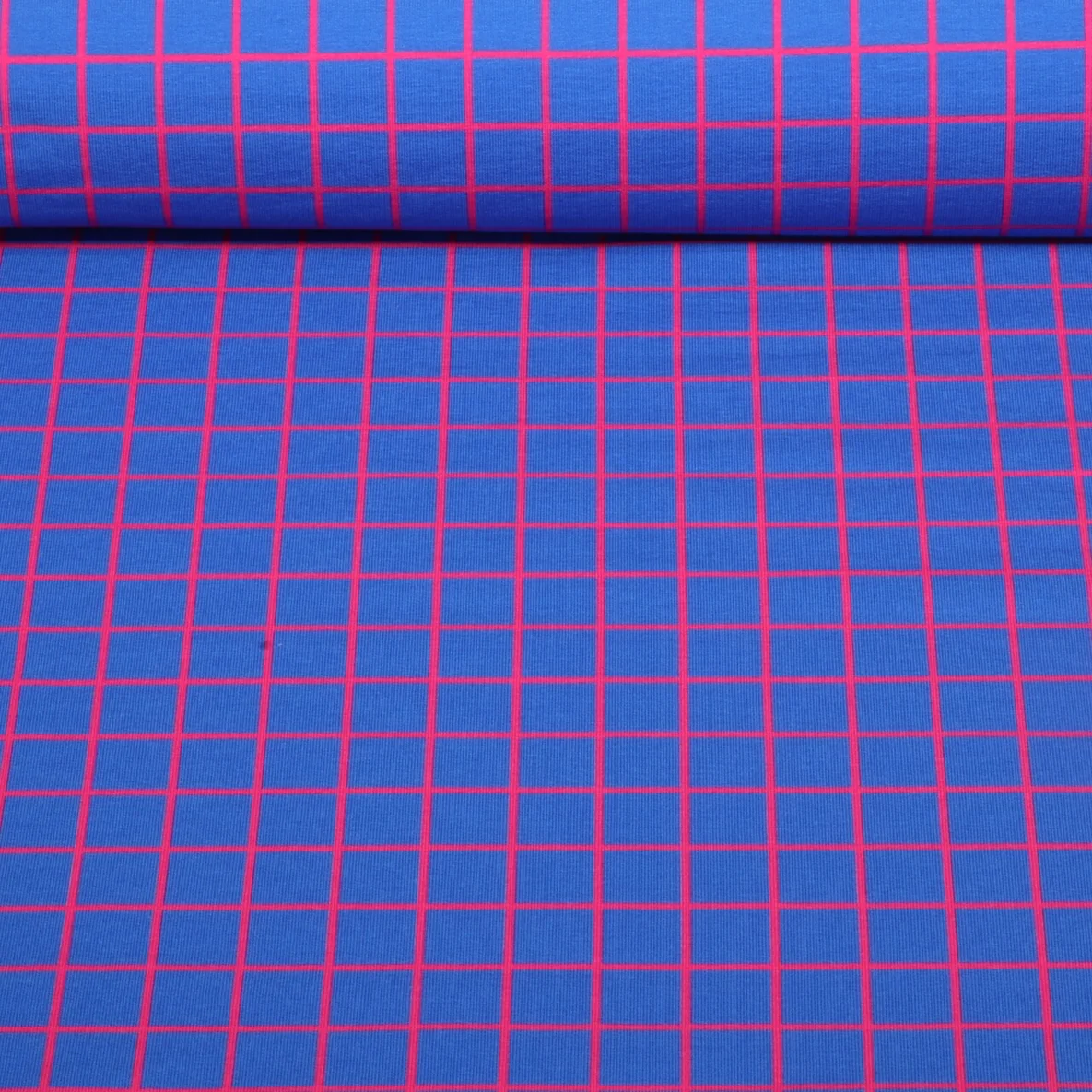 Bio Sommersweat "Beetles & Bugs" Grids Blau