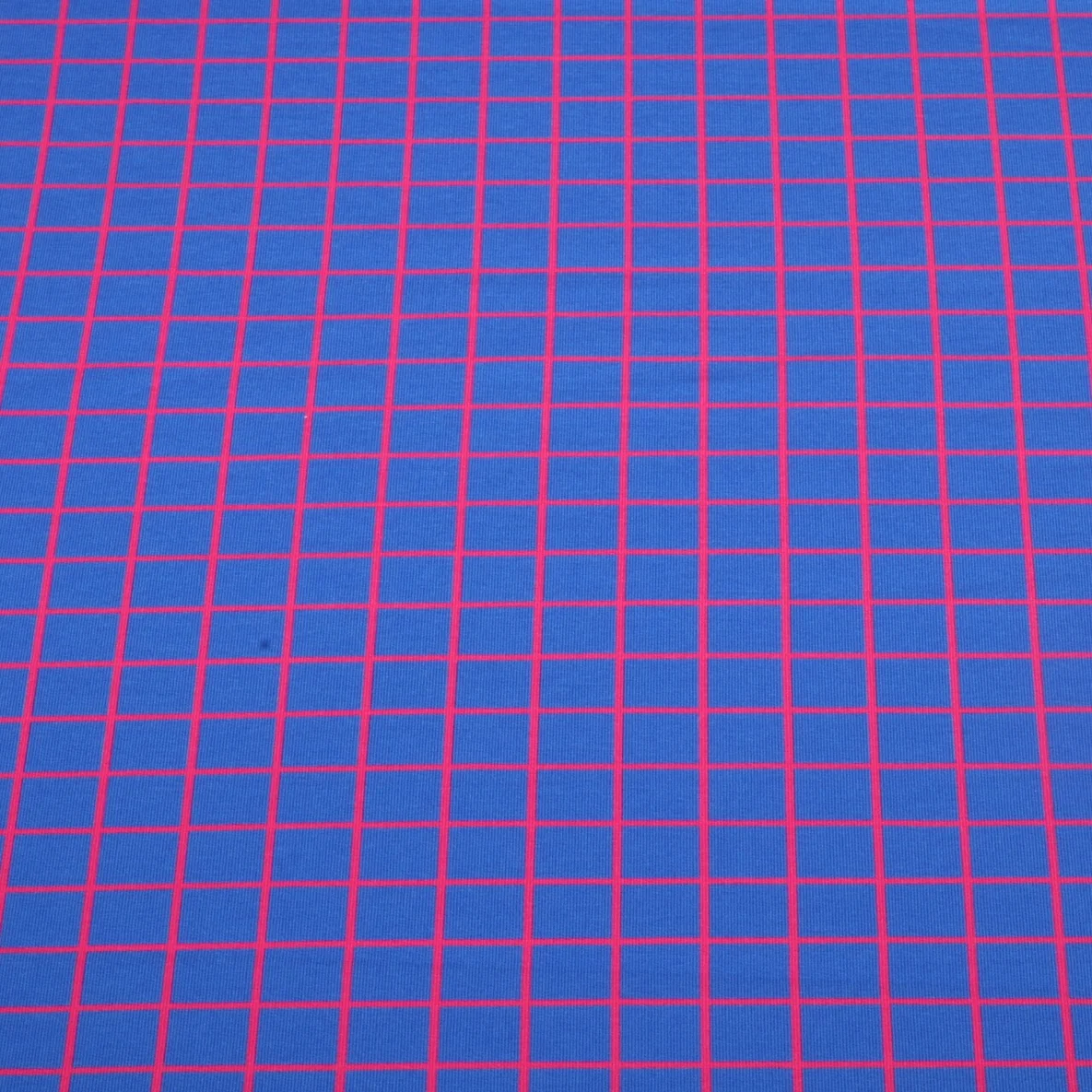 Bio Sommersweat "Beetles & Bugs" Grids Blau