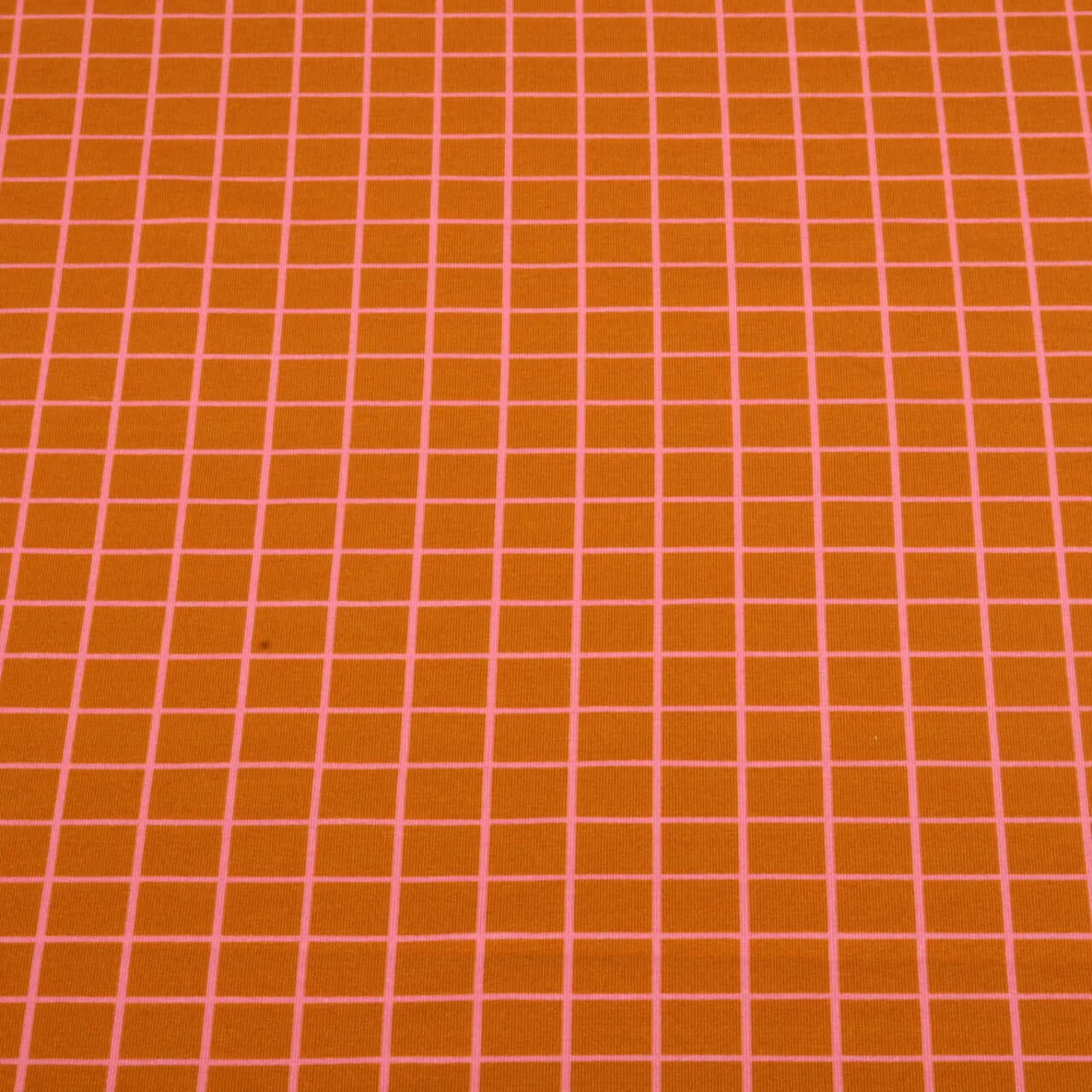 Bio Sommersweat "Beetles & Bugs" Grids Braun