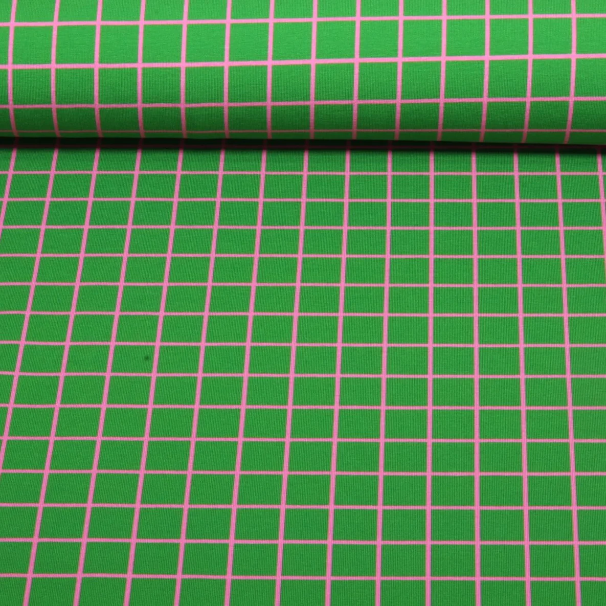 Bio Sommersweat "Beetles & Bugs" Grids Grün