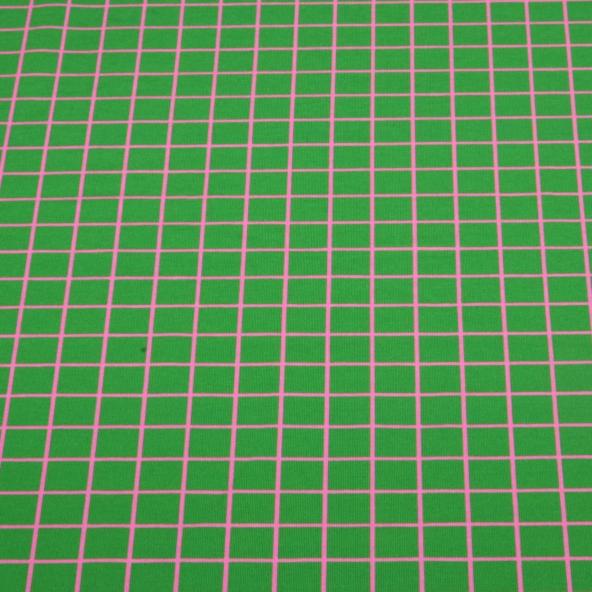 Bio Sommersweat "Beetles & Bugs" Grids Grün