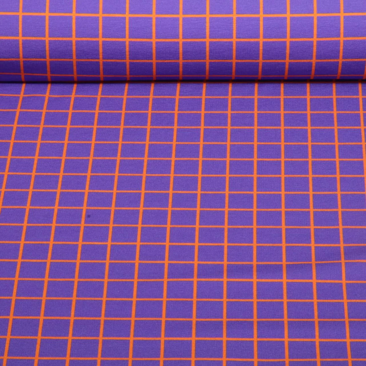 Bio Sommersweat "Beetles & Bugs" Grids Lila