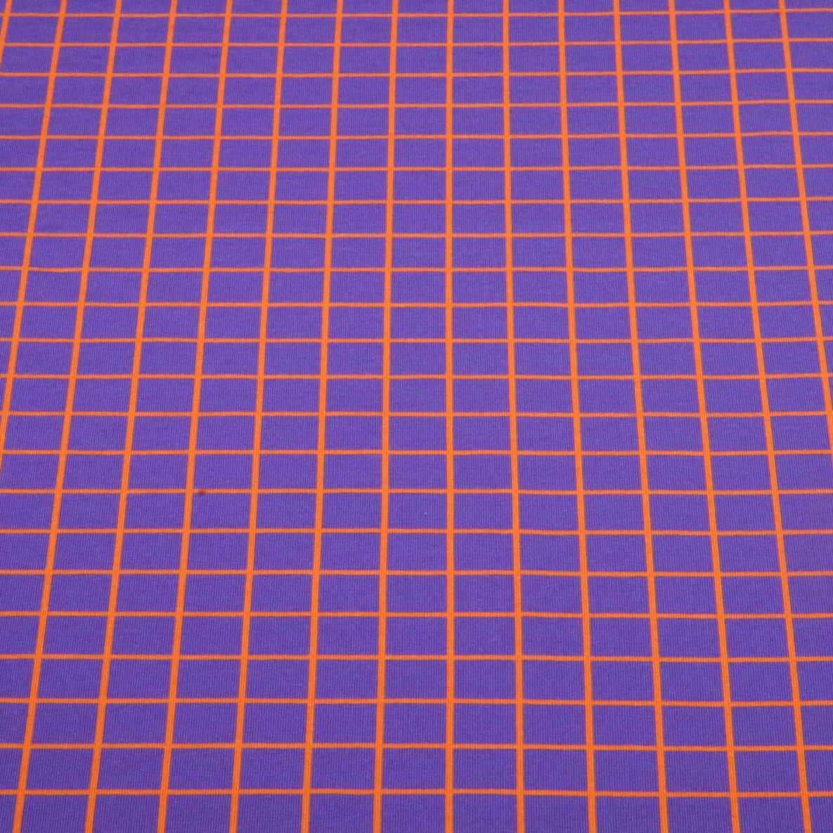 Bio Sommersweat "Beetles & Bugs" Grids Lila