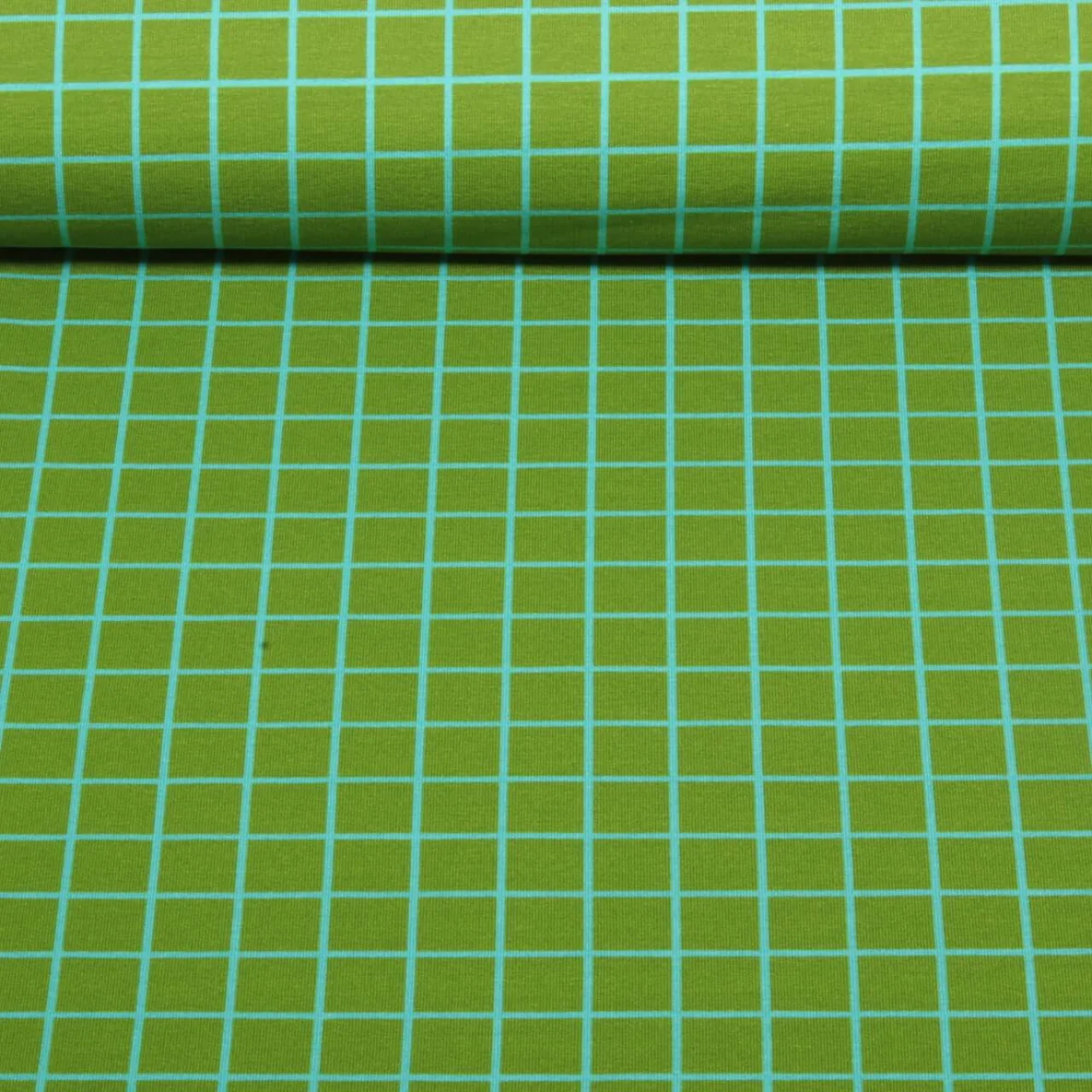 Bio Sommersweat "Beetles & Bugs" Grids Moosgrün