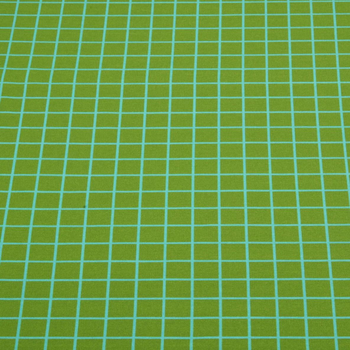 Bio Sommersweat "Beetles & Bugs" Grids Moosgrün