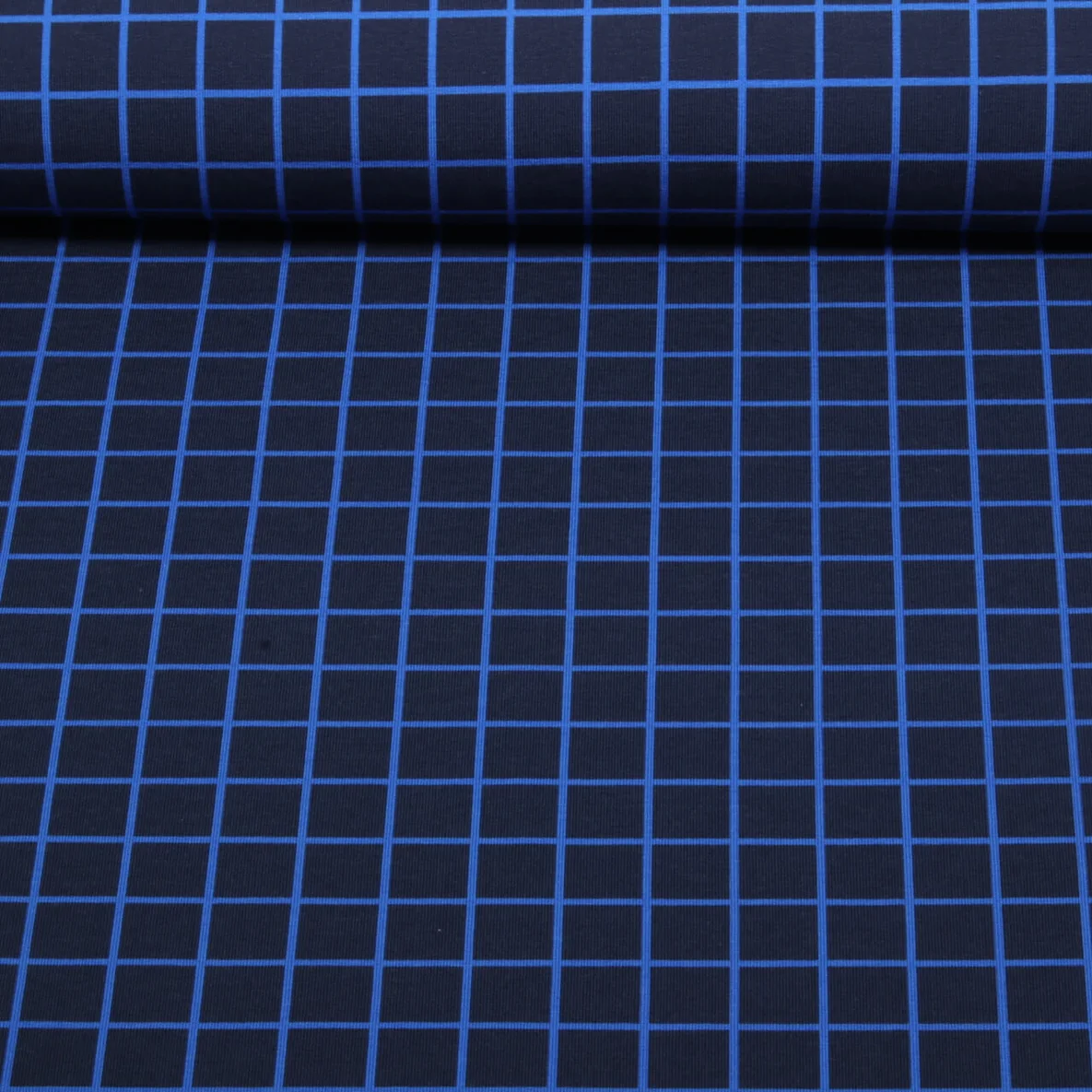 Bio Sommersweat "Beetles & Bugs" Grids Navy