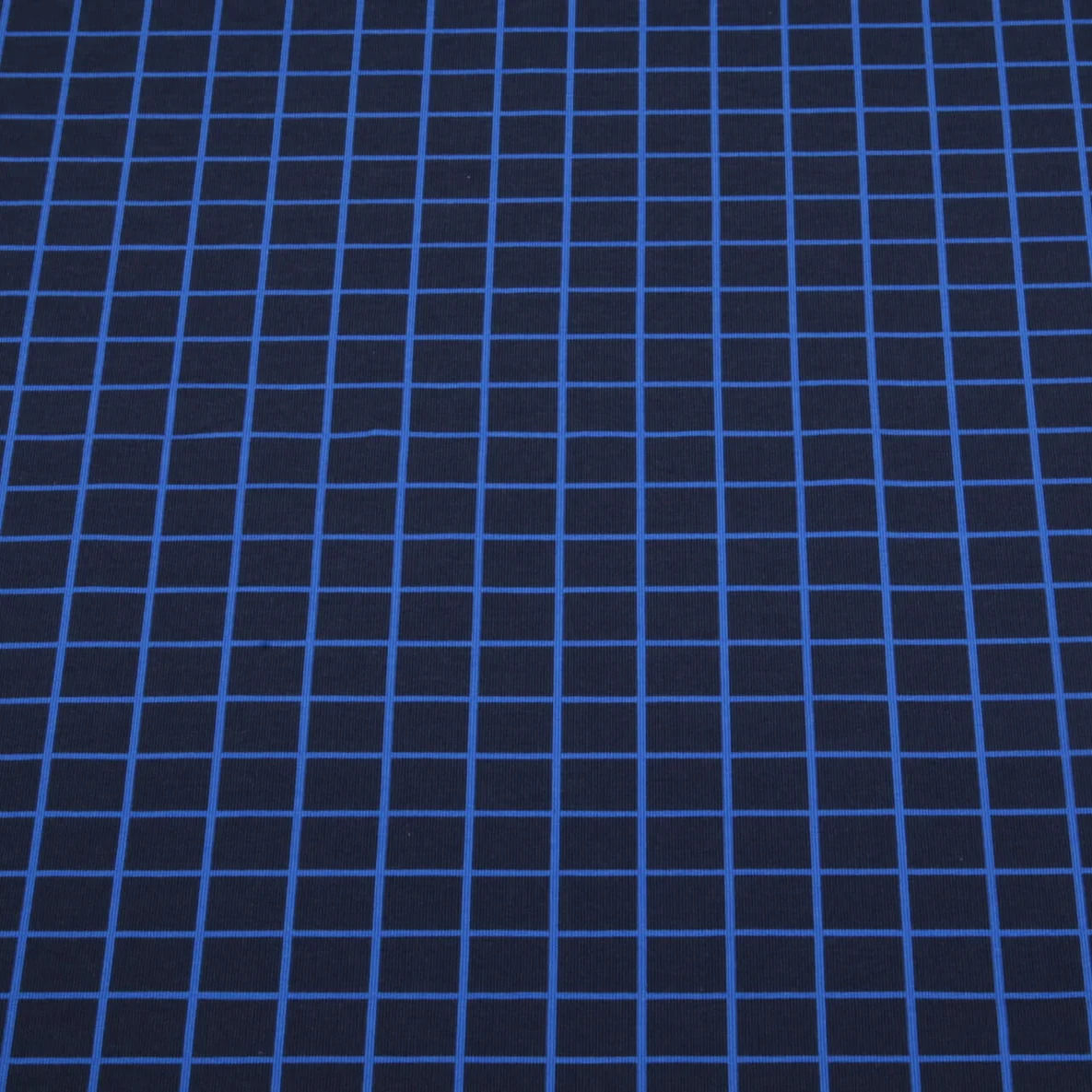 Bio Sommersweat "Beetles & Bugs" Grids Navy