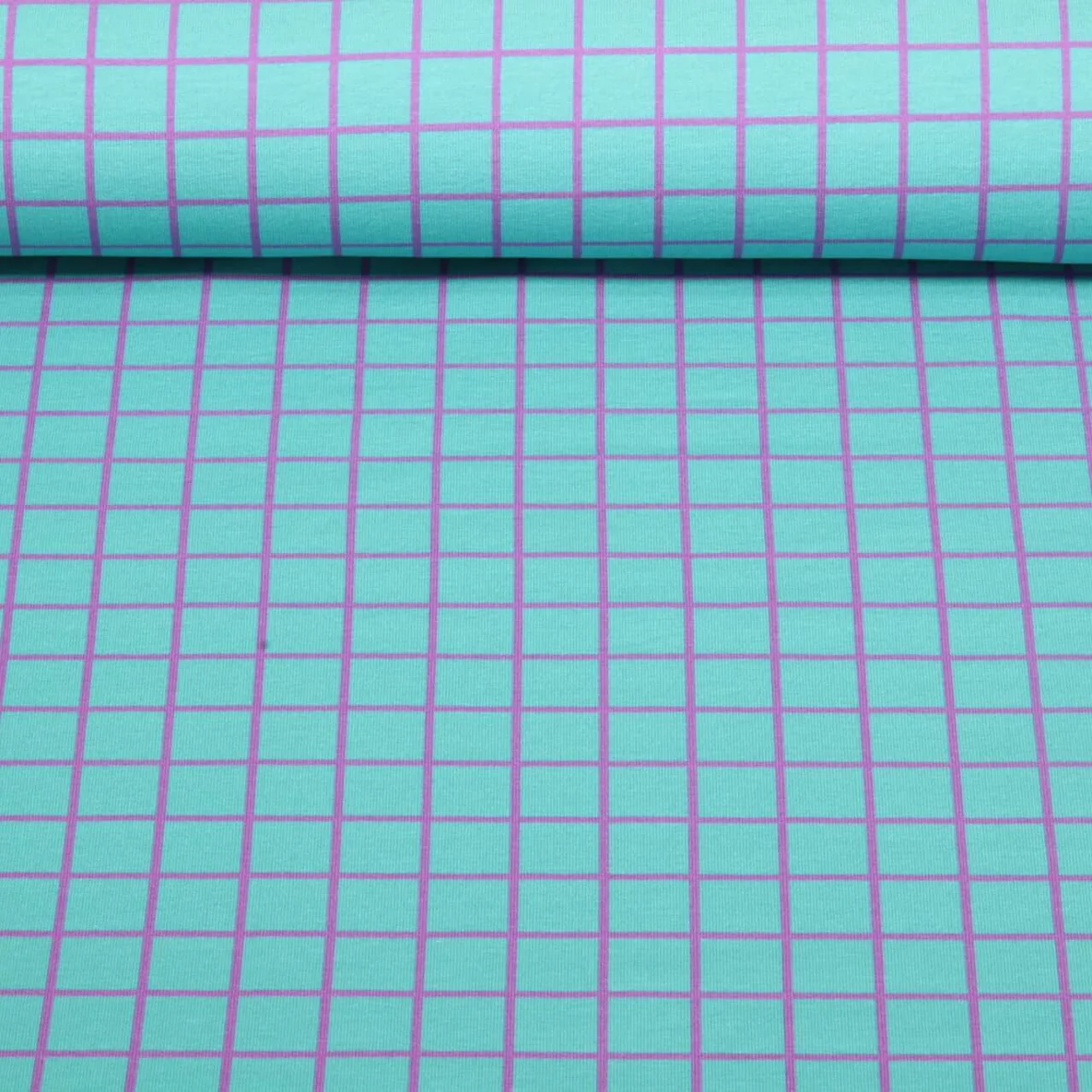 Bio Sommersweat "Beetles & Bugs" Grids Türkis