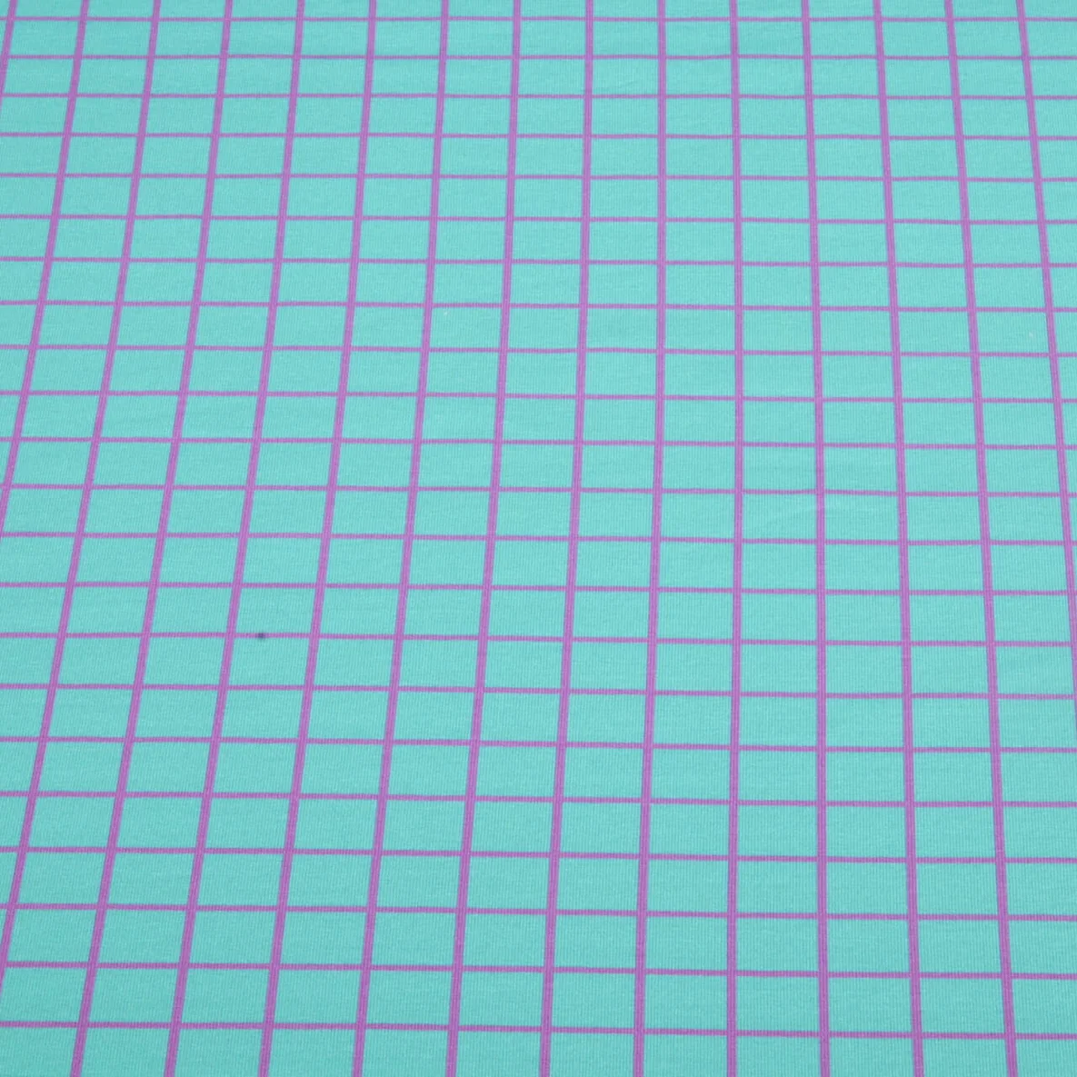 Bio Sommersweat "Beetles & Bugs" Grids Türkis