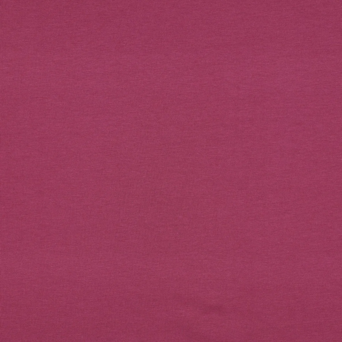 Bio Sommersweat "Josie" Uni Beere 043